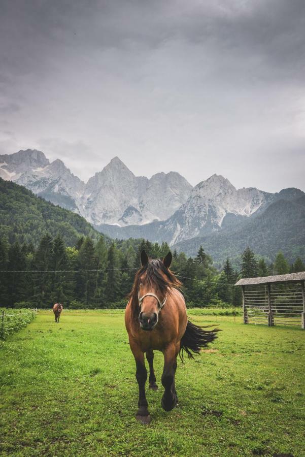 Klass 210 Kranjska Gora Exterior photo